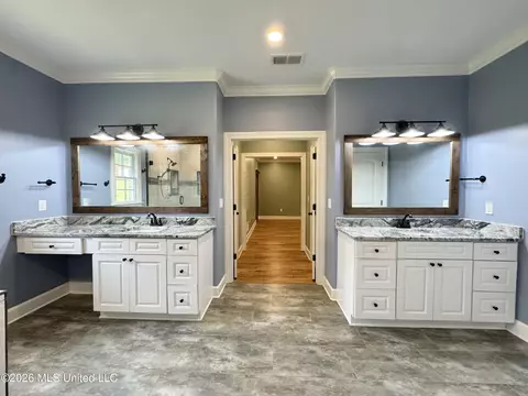 Bath - 4065 Misty Oaks Cv, Nesbit, MS 38651 photo 2 of 7