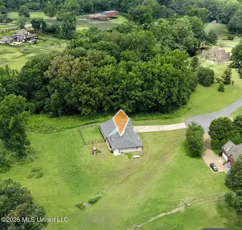 View/Area - 4065 Misty Oaks Cv, Nesbit, MS 38651 photo 4 of 6