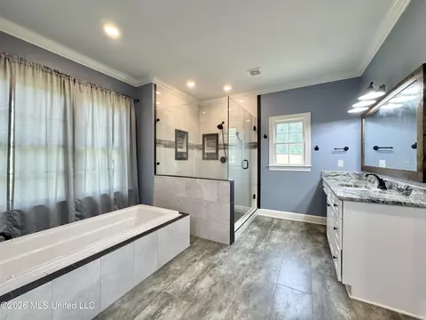Bath - 4065 Misty Oaks Cv, Nesbit, MS 38651 photo 3 of 7