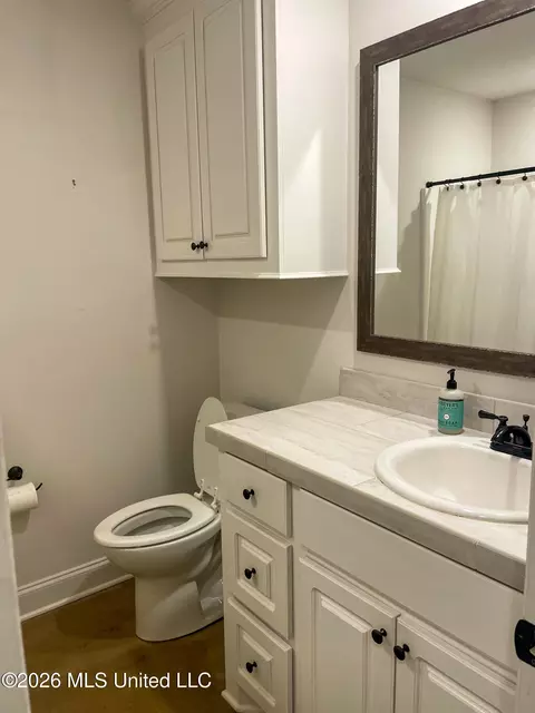 Bath - 130 Chartleigh Cir, Canton, MS 39046 photo 4 of 4