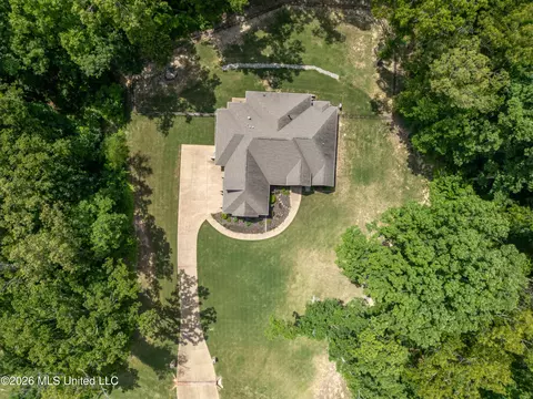 View/Area - 568 Woodford Cv, Hernando, MS 38632 photo 1 of 1