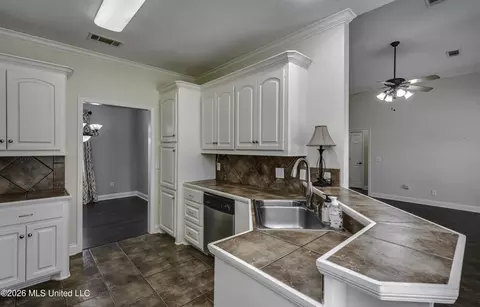 Entry Way - 125 Bradfield Rd, Madison, MS 39110 photo 3 of 9