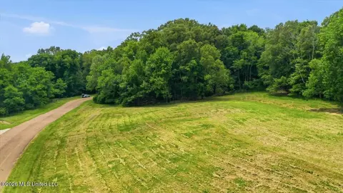 177 Chestnut Hill Rd, Flora, MS 39071 photo 19