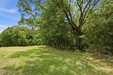 177 Chestnut Hill Rd, Flora, MS 39071 photo 7