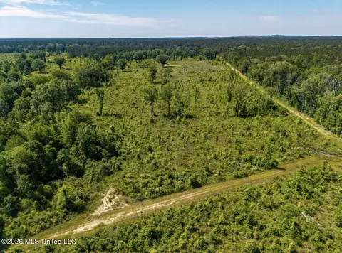 0 E Doc Clark Rd, Morton, MS 39117 photo 18