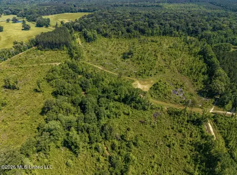 0 E Doc Clark Rd, Morton, MS 39117 photo 11