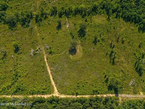 0 E Doc Clark Rd, Morton, MS 39117 photo 8