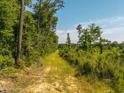0 E Doc Clark Rd, Morton, MS 39117 photo 7