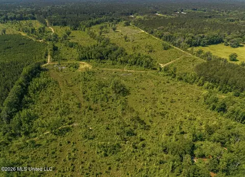 0 E Doc Clark Rd, Morton, MS 39117 photo 16