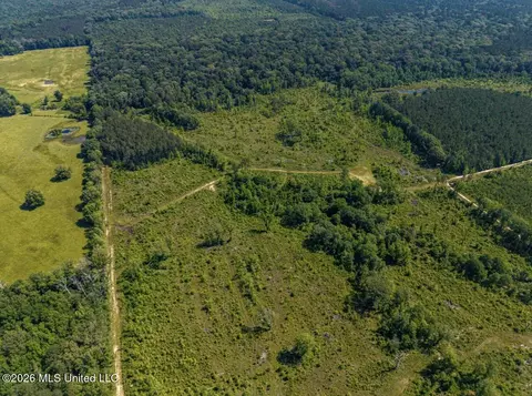 0 E Doc Clark Rd, Morton, MS 39117 photo 12