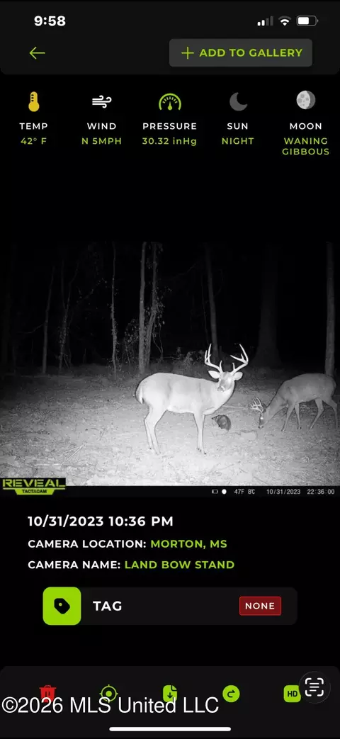 0 E Doc Clark Rd, Morton, MS 39117 photo 3
