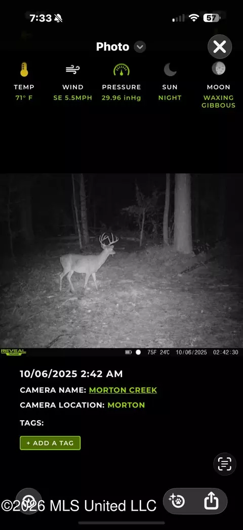 0 E Doc Clark Rd, Morton, MS 39117 photo 6