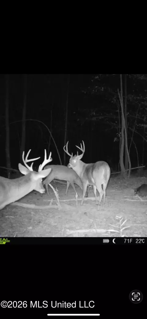 0 E Doc Clark Rd, Morton, MS 39117 photo 4