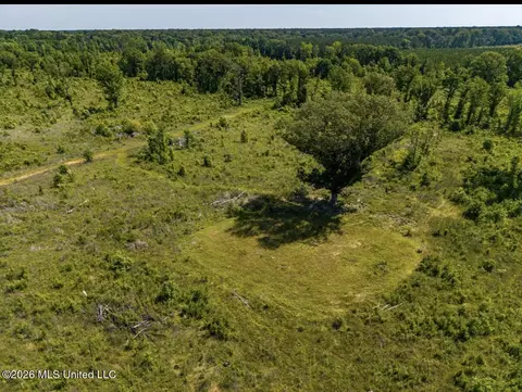 0 E Doc Clark Rd, Morton, MS 39117 photo 17