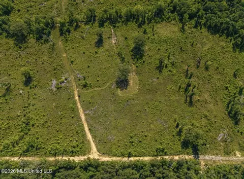 0 E Doc Clark Rd, Morton, MS 39117 photo 10