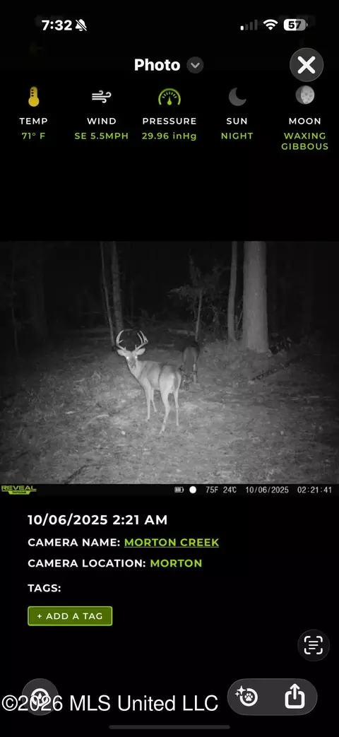 0 E Doc Clark Rd, Morton, MS 39117 photo 5