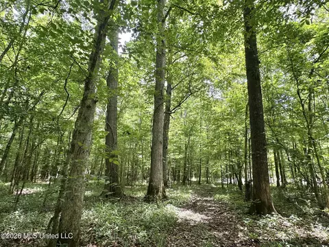 0 Highway 483, Morton, MS 39117