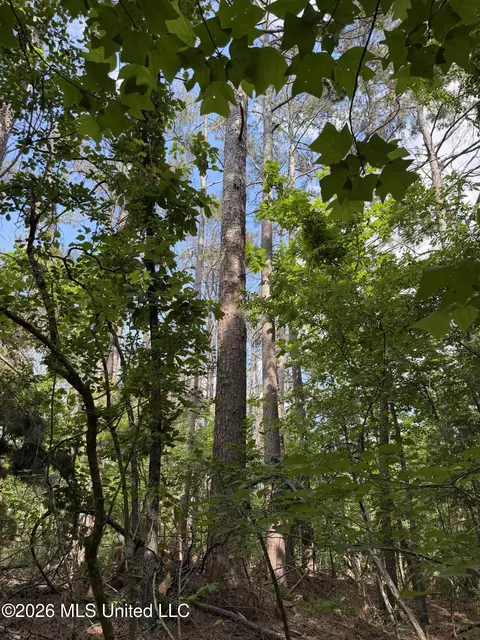 80 Co Rd 5009, Como, MS 38619 photo 6