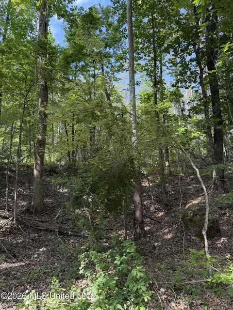 80 Co Rd 5009, Como, MS 38619 photo 3