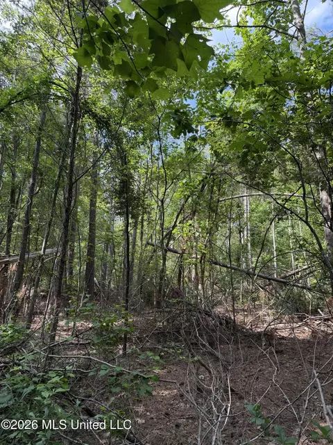 80 Co Rd 5009, Como, MS 38619 photo 7