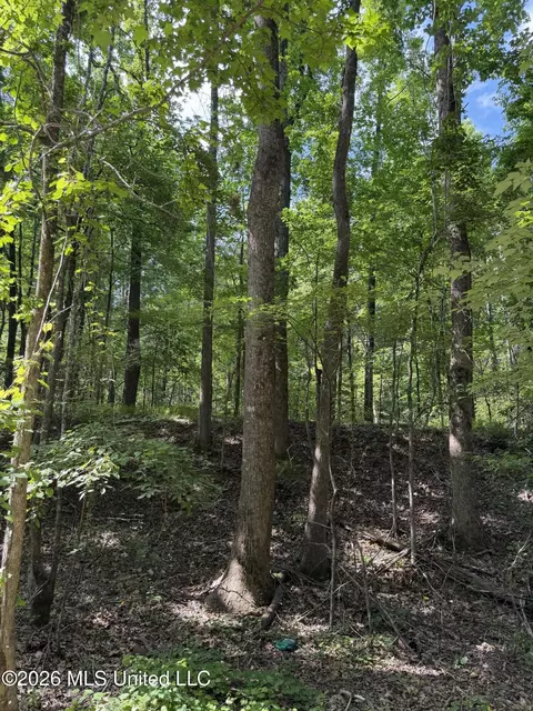 80 Co Rd 5009, Como, MS 38619 photo 4