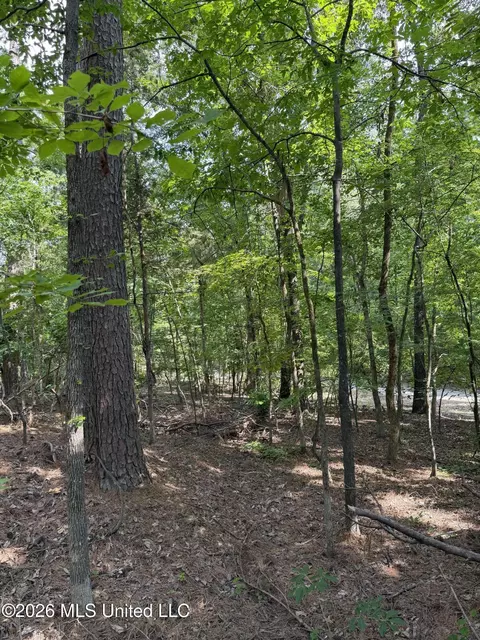 80 Co Rd 5009, Como, MS 38619 photo 10