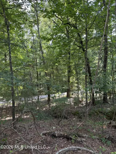 80 Co Rd 5009, Como, MS 38619 photo 9