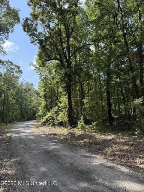 80 Co Rd 5009, Como, MS 38619 photo 2