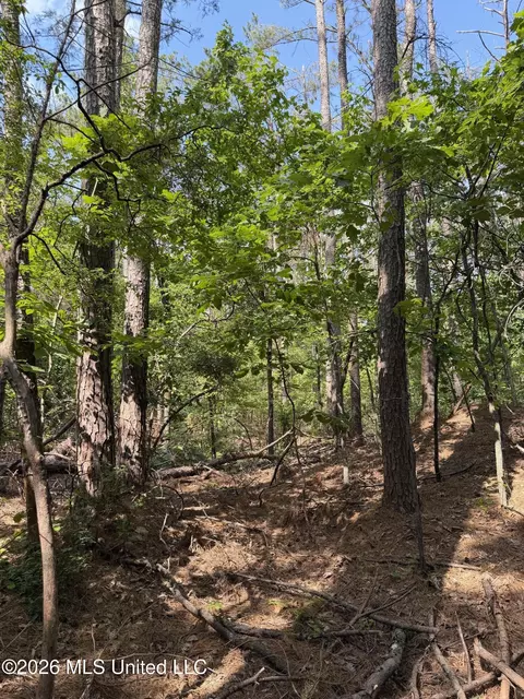 80 Co Rd 5009, Como, MS 38619 photo 8