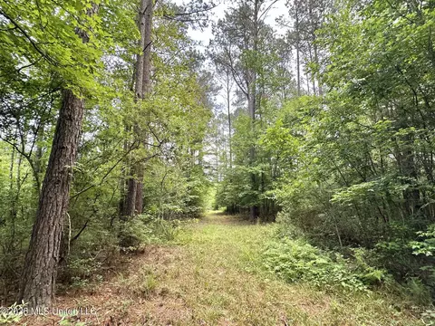 2 Highway 483, Morton, MS 39117 photo 4