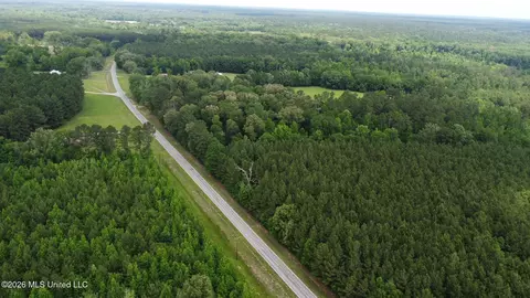 2 Highway 483, Morton, MS 39117 photo 17