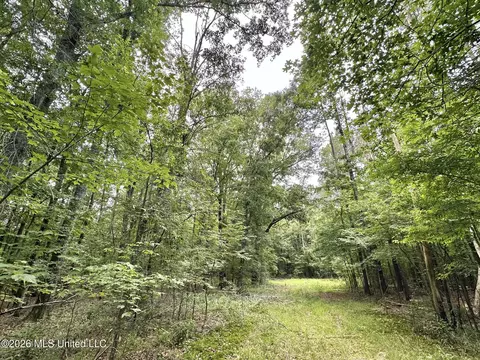 2 Highway 483, Morton, MS 39117 photo 13