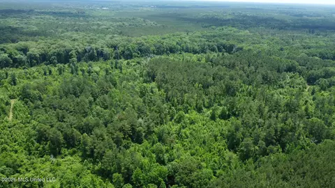 2 Highway 483, Morton, MS 39117 photo 18