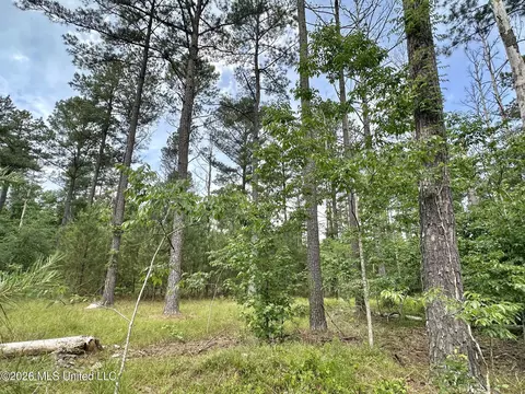 2 Highway 483, Morton, MS 39117 photo 7