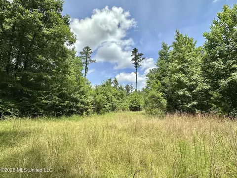 2 Highway 483, Morton, MS 39117 photo 2