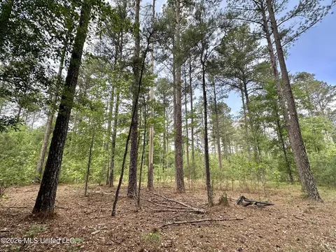 2 Highway 483, Morton, MS 39117 photo 6