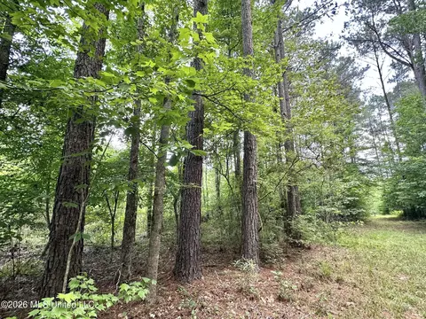 2 Highway 483, Morton, MS 39117 photo 3