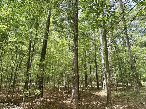 2 Highway 483, Morton, MS 39117 photo 10