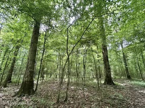 2 Highway 483, Morton, MS 39117 photo 12