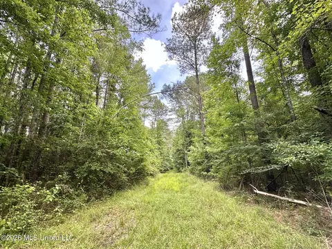 2 Highway 483, Morton, MS 39117 photo 5