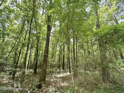 2 Highway 483, Morton, MS 39117 photo 8