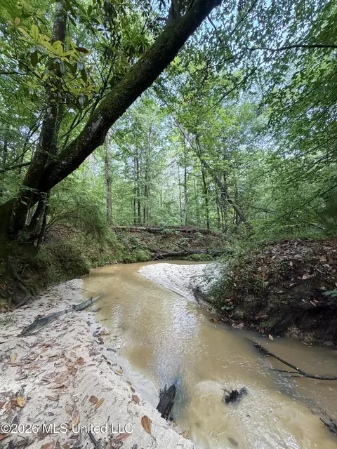 E Poor House Road, Woodville, MS 39669