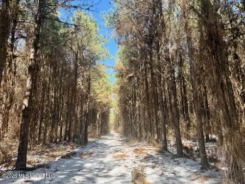 Prairie Debutte Road, Bastrop, LA 71220