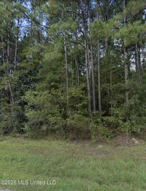996 Hickory Grove Rd, Lumberton, MS 39455
