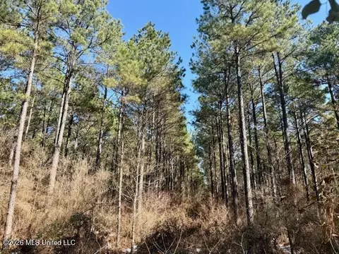 Prairie Debutte Road, Bastrop, LA 71220
