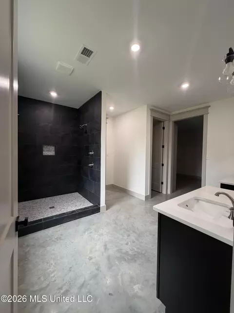Bath - 2405 Pleasant Hill Rd, Nesbit, MS 38651 photo 2 of 5