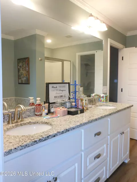 Bath - 708 Lexington Dr, Florence, MS 39073 photo 4 of 6
