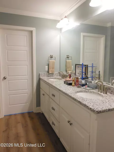 Bath - 708 Lexington Dr, Florence, MS 39073 photo 5 of 6