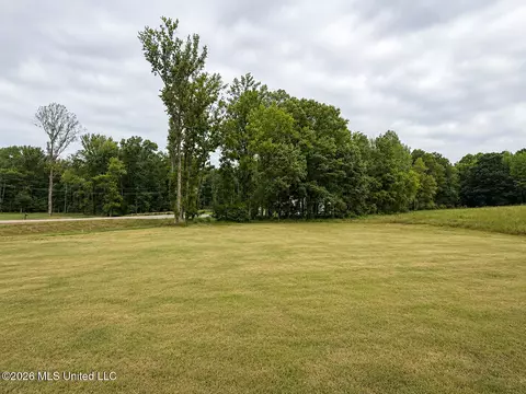 Exterior - 5073 Sophia Ln, Hernando, MS 38632 photo 5 of 5