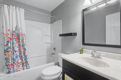 Bath - 3133 Pleasant Hill Rd, Nesbit, MS 38651 photo 3 of 5